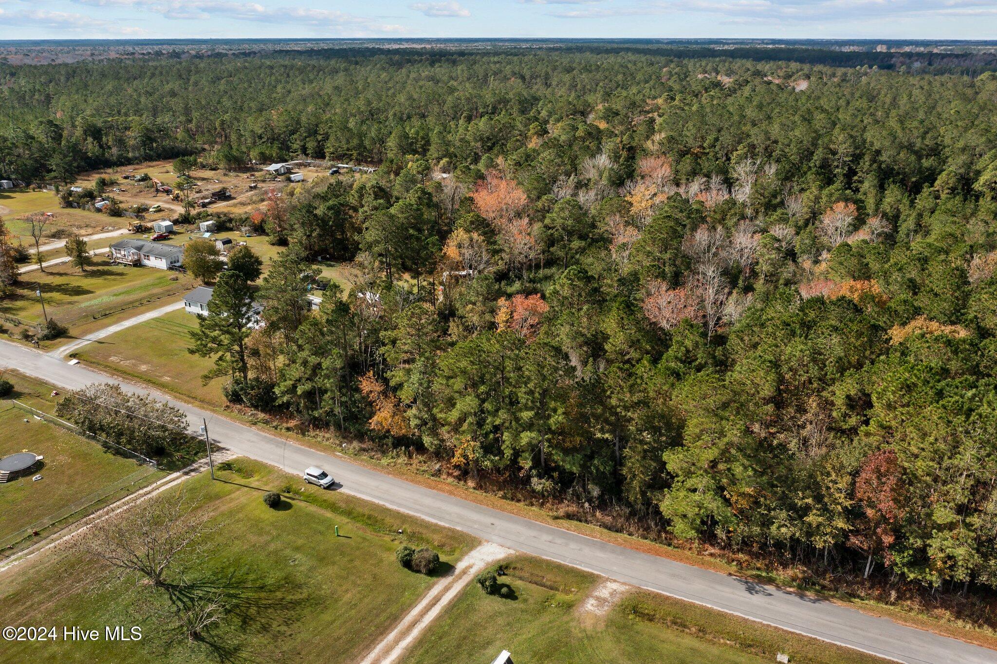 239 Old Timber Road Jacksonville, NC 28540 - Photo 10 of 15 10-web-or-mls-DJI_0877