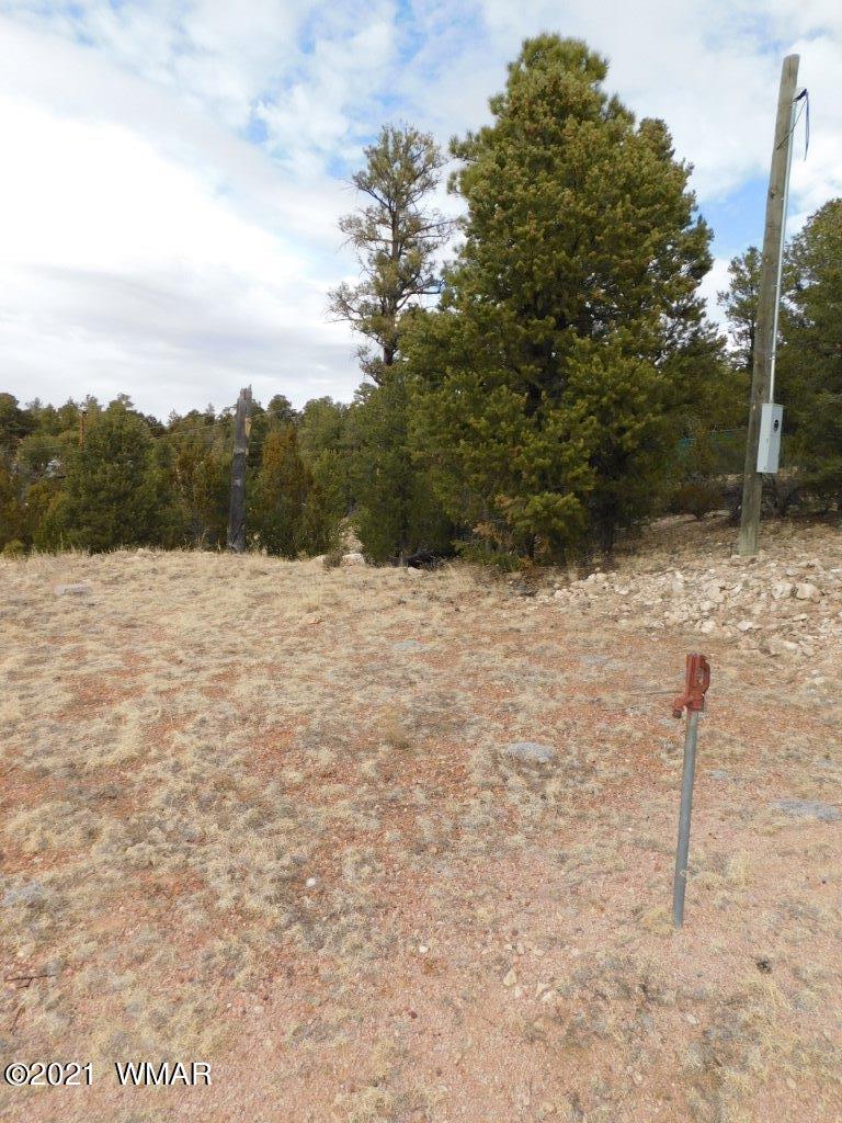 1980 Broken Arrow Road Overgaard, AZ 85933 - Photo 5 of 6