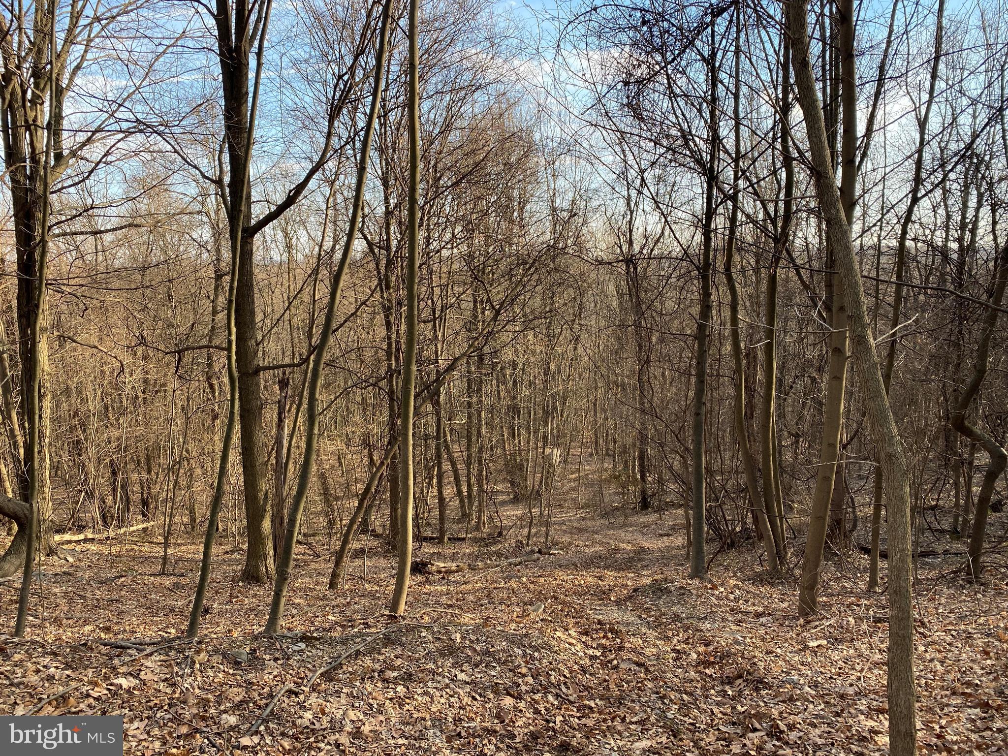 0 Sugar Run Road Millerstown, PA 17062 - Photo 3 of 10 Gallery Image 3