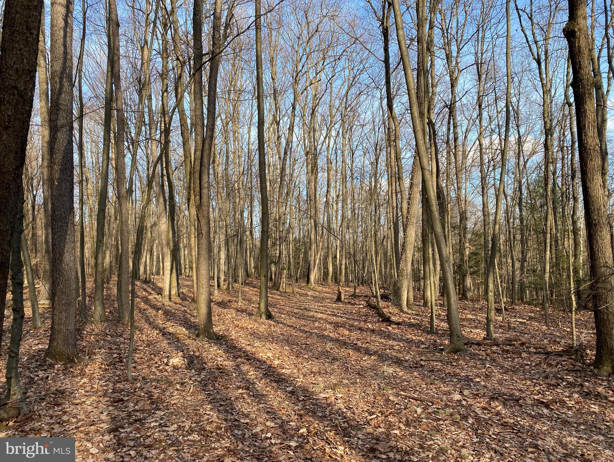 0 Sugar Run Road Millerstown, PA 17062 - Photo 4 of 10 Gallery Image 4