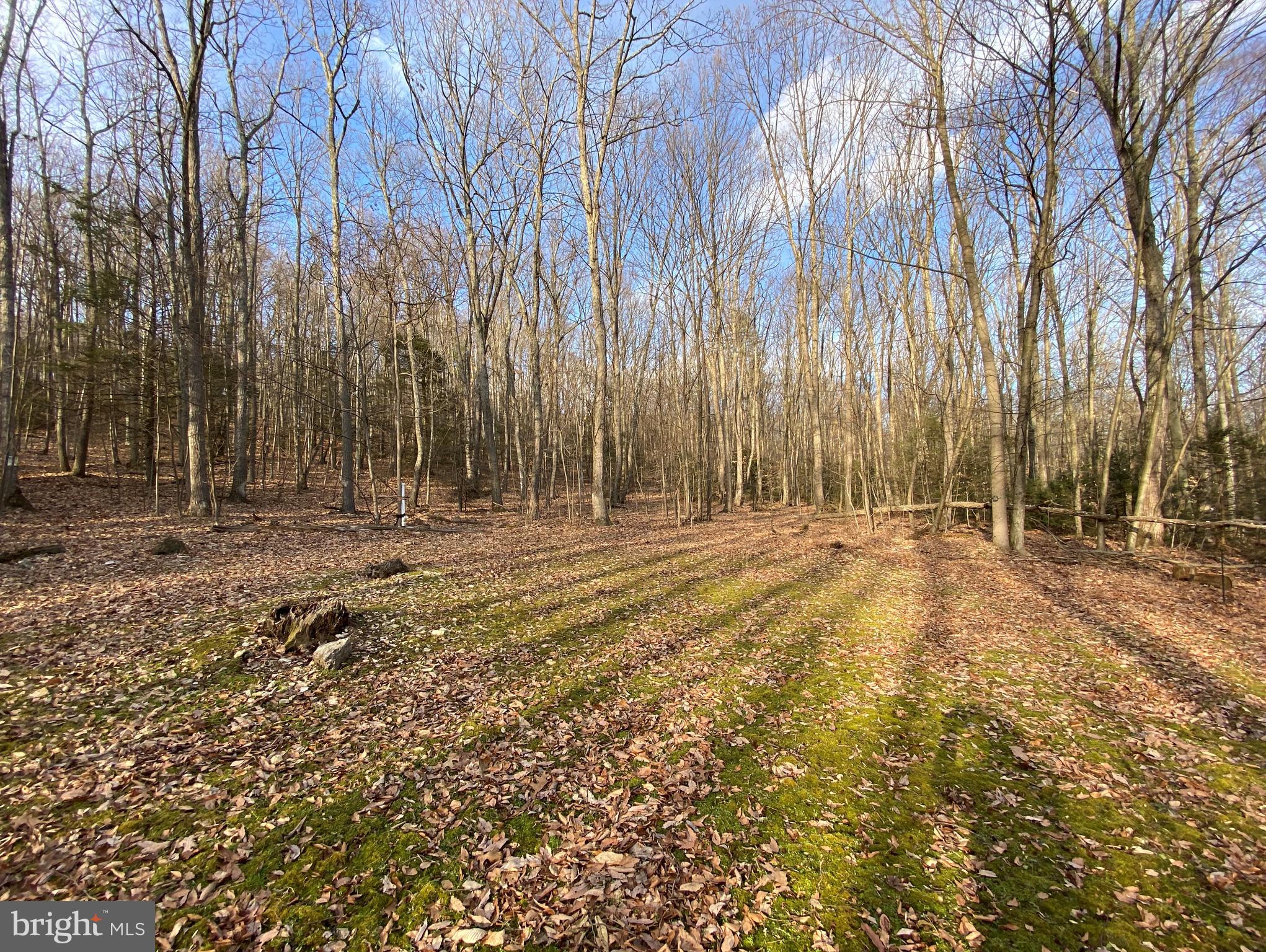 0 Sugar Run Road Millerstown, PA 17062 - Photo 8 of 10 Gallery Image 8