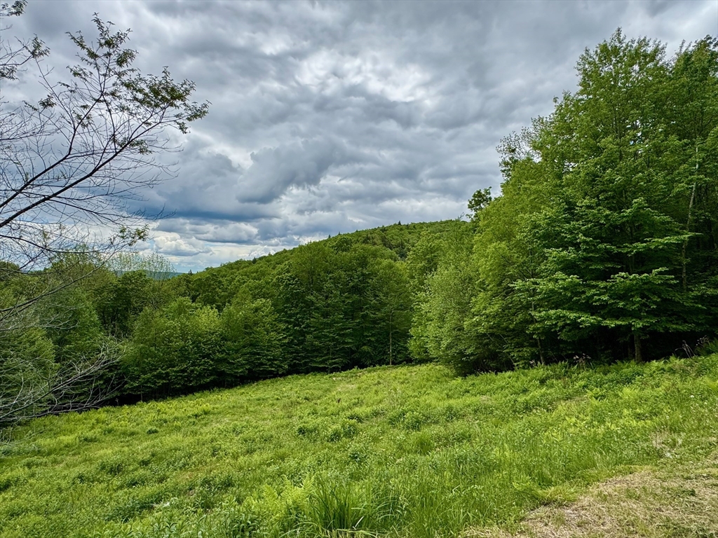 16 Manley Phelps Road Monroe, MA 01247 - Photo 4 of 27