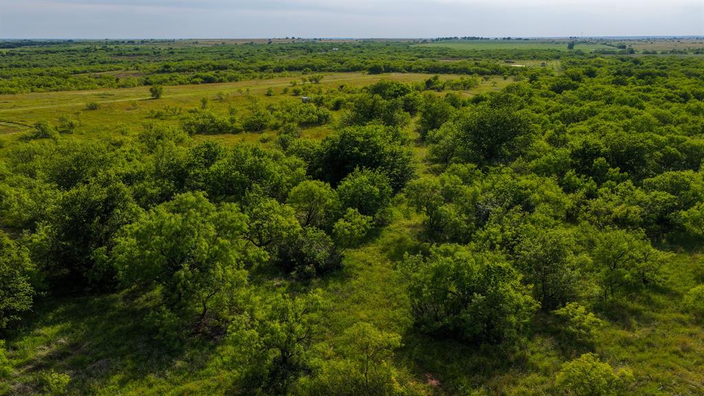 3641 Carpenter Road Nocona, TX 76255 - Photo 31 of 38