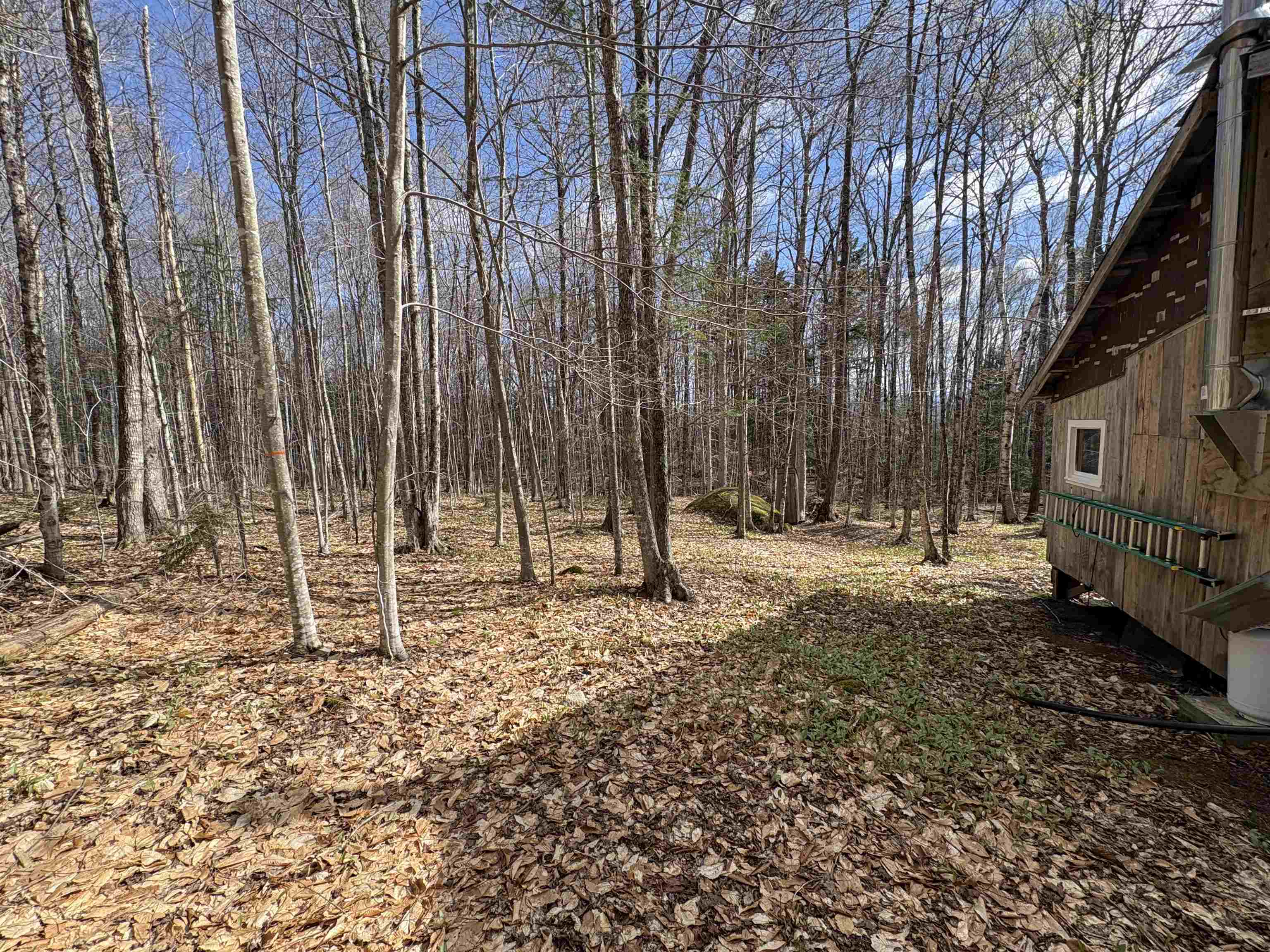 300 Moise Wood Road Brighton, VT 05846 - Photo 19 of 25