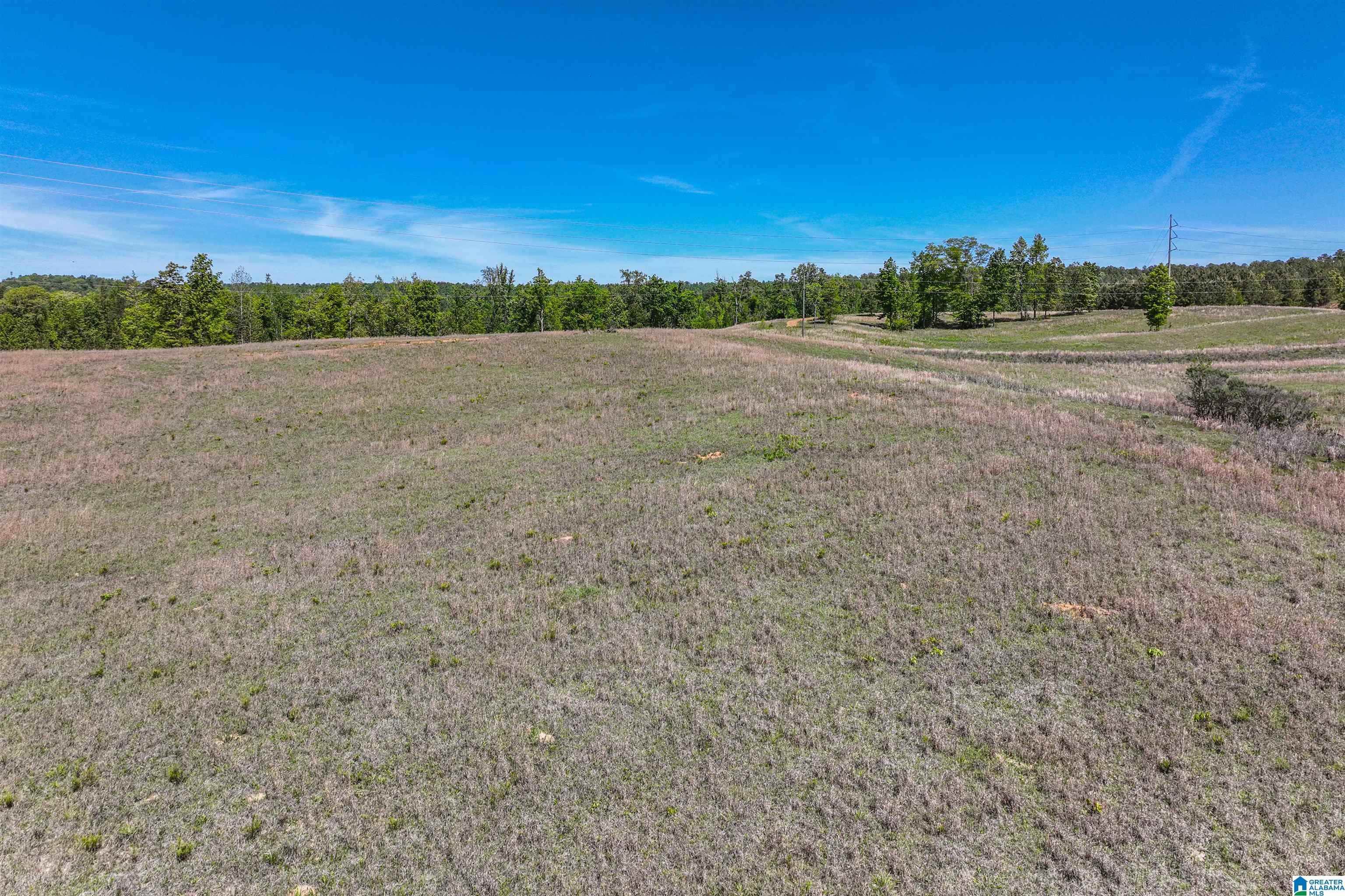 489 4 Wing Lake Road Alabaster, AL 35007 - Photo 21 of 27