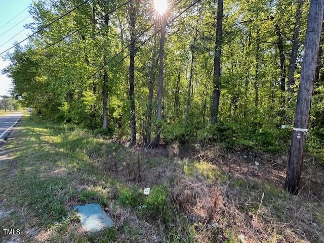 4300-4304 Cheek Road Durham, NC 27704 - Photo 13 of 27 a view of a lush green forest