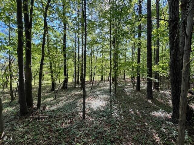 4300-4304 Cheek Road Durham, NC 27704 - Photo 14 of 27 a view of outdoor space with lots of trees