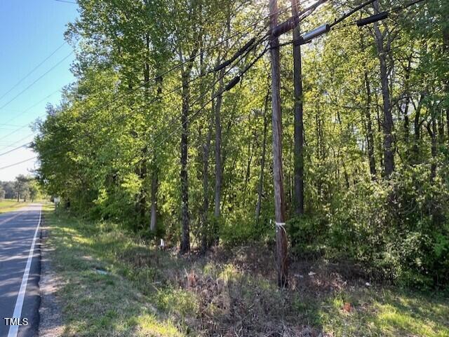 4300-4304 Cheek Road Durham, NC 27704 - Photo 20 of 27 a view of forest