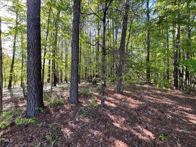 4300-4304 Cheek Road Durham, NC 27704 - Photo 3 of 27 a view of a forest that has large trees