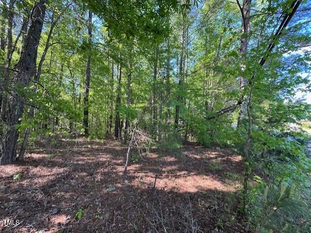 4300-4304 Cheek Road Durham, NC 27704 - Photo 5 of 27 a backyard of a house with lots of trees