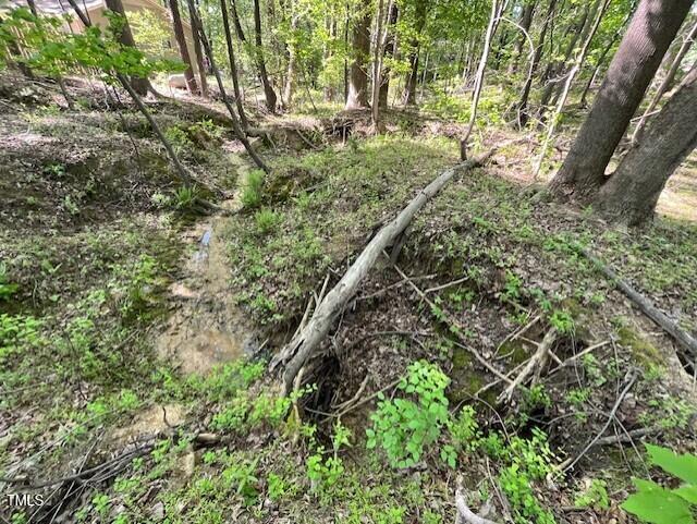 4300-4304 Cheek Road Durham, NC 27704 - Photo 7 of 27 a view of a yard with a tree