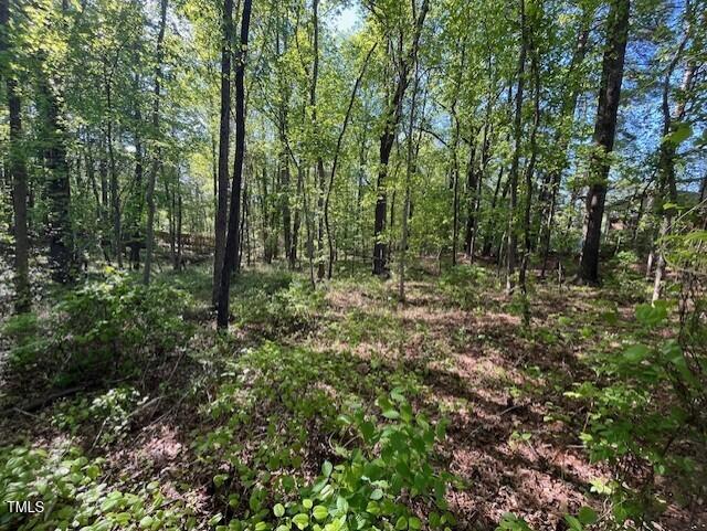 4300-4304 Cheek Road Durham, NC 27704 - Photo 8 of 27 a view of outdoor space and green space
