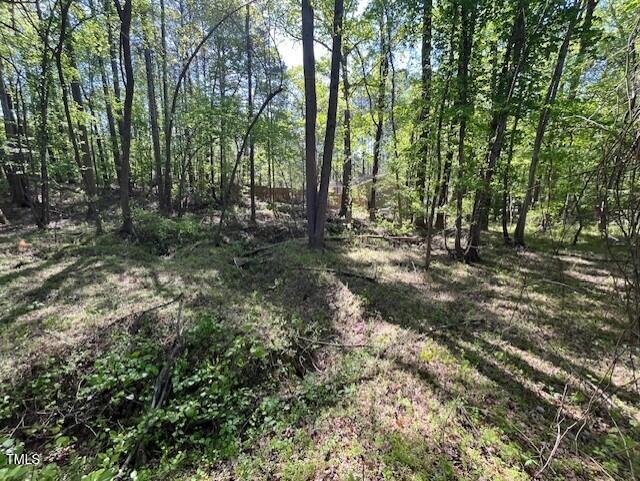 4300-4304 Cheek Road Durham, NC 27704 - Photo 9 of 27 a view of a forest with trees in the background