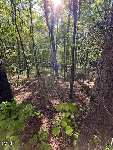 4300-4304 Cheek Road Durham, NC 27704 - Photo 10 of 27 a backyard of a house with lots of green space