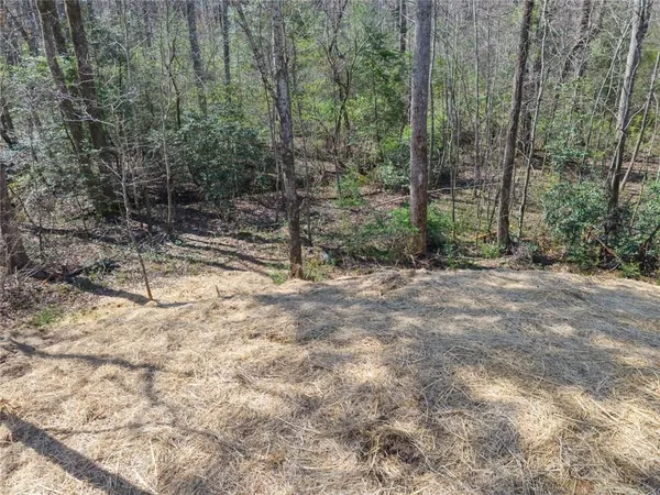 a view of outdoor space with trees