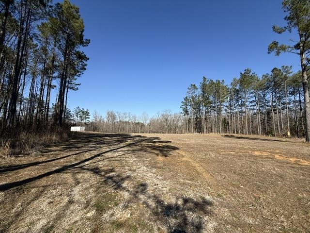0 Pottery Road Michigan City, MS 38647 - Photo 3 of 4