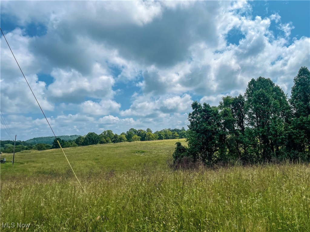 226 Banner Hill Road Spencer, WV 25276 - Photo 3 of 35