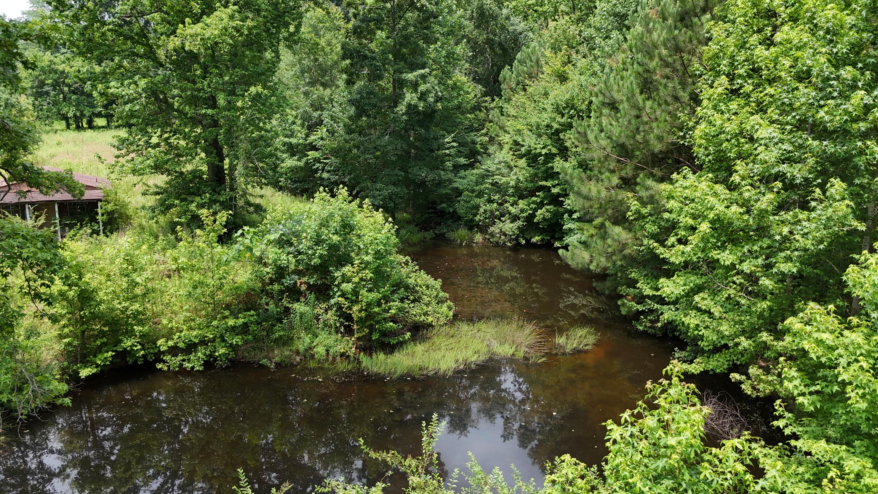 393 Sim Goodwin Road McDonald, TN 37353 - Photo 11 of 13 dji_fly_20250627_122430_0647_17510430604