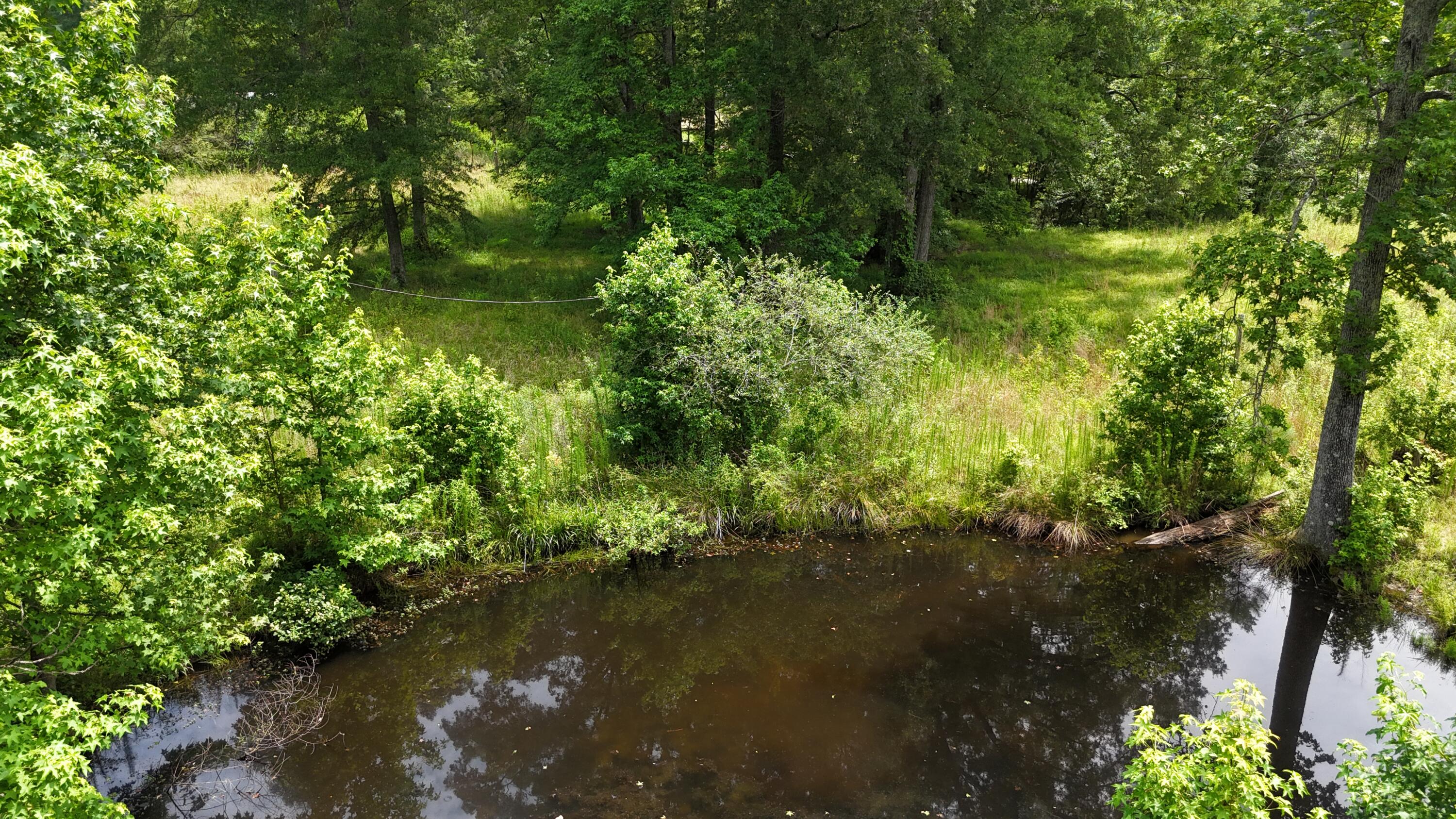 393 Sim Goodwin Road McDonald, TN 37353 - Photo 12 of 13 dji_fly_20250627_122450_0648_17510430590