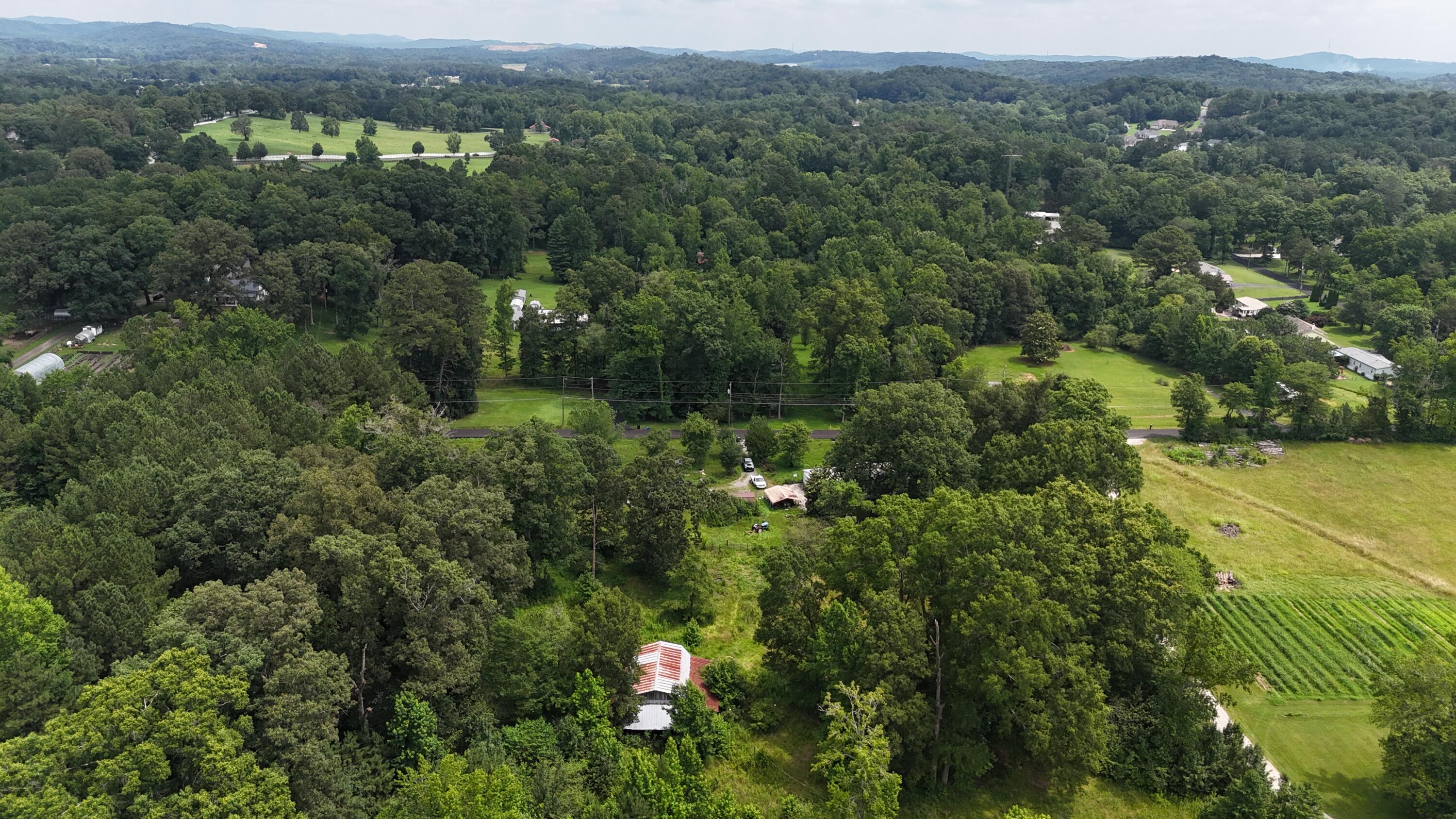 393 Sim Goodwin Road McDonald, TN 37353 - Photo 10 of 13 dji_fly_20250627_122402_0646_17510430625