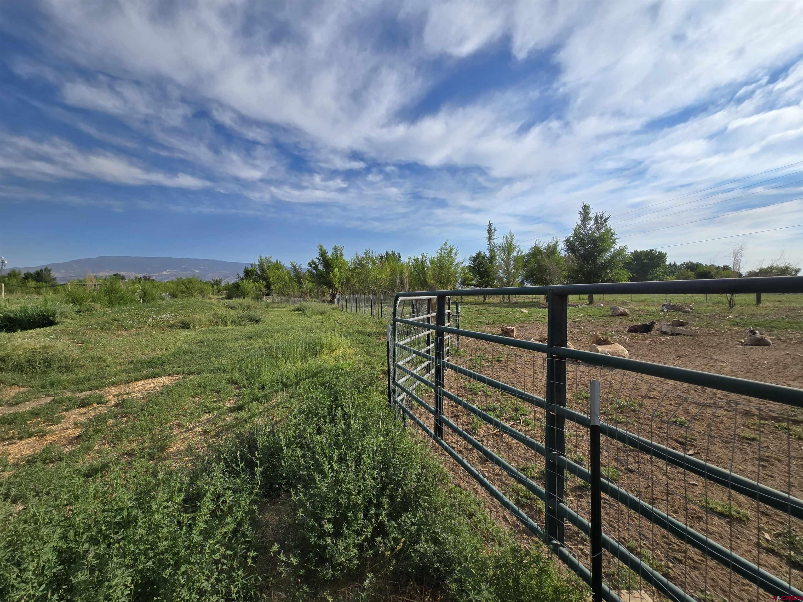 5087 Highway 348 Delta, CO 81416 - Photo 36 of 44