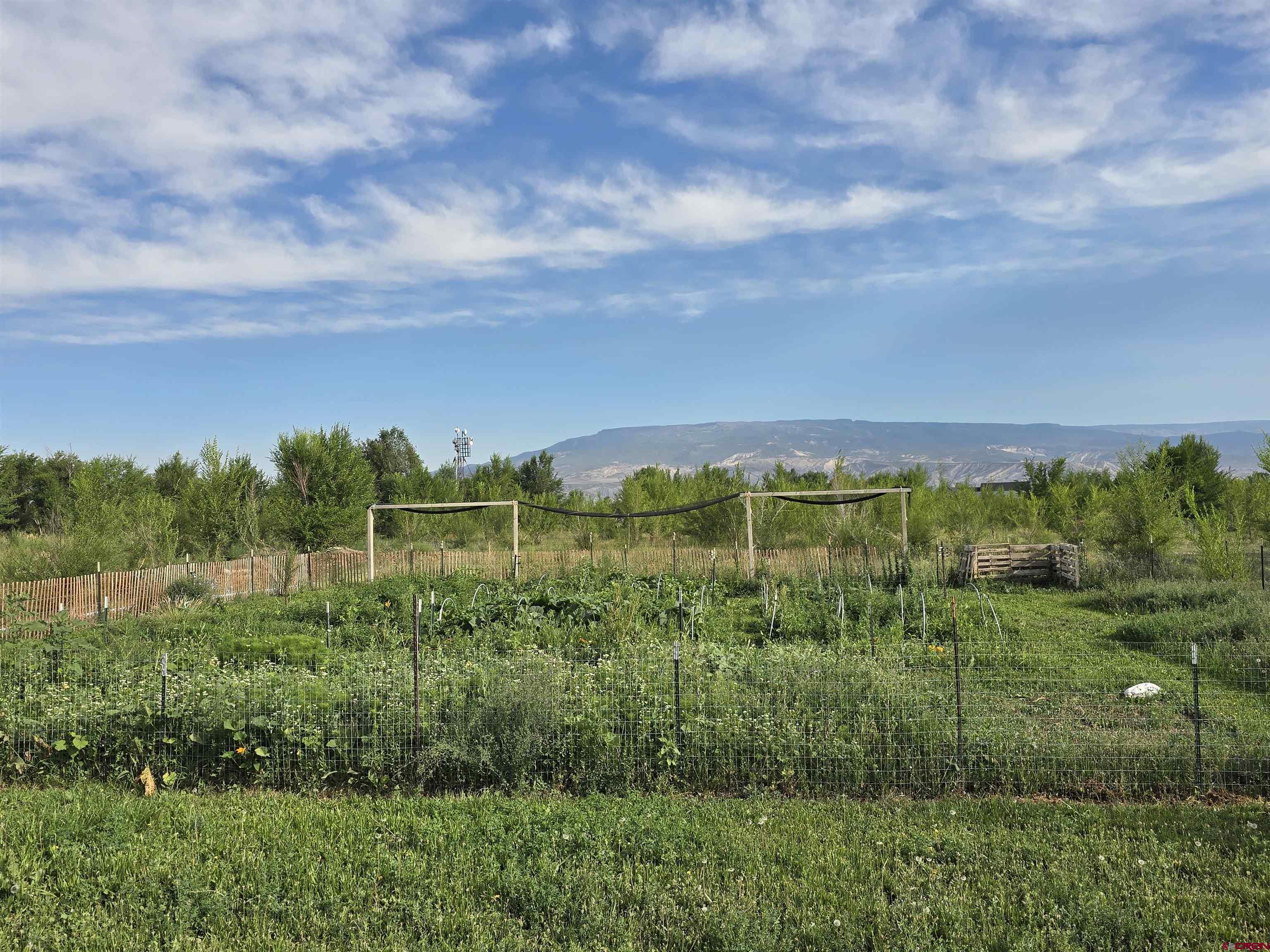 5087 Highway 348 Delta, CO 81416 - Photo 37 of 44