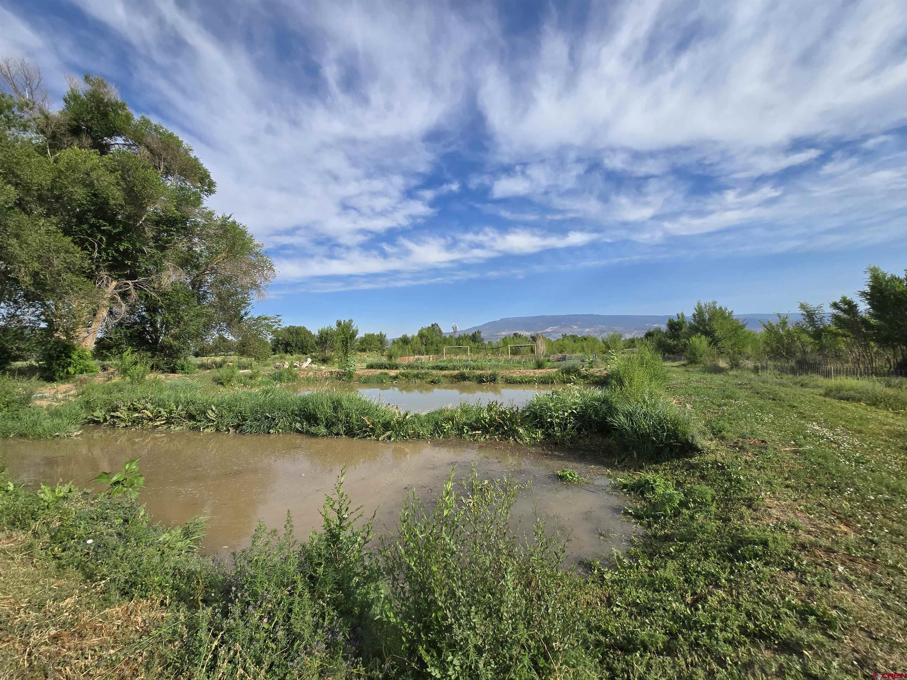 5087 Highway 348 Delta, CO 81416 - Photo 38 of 44