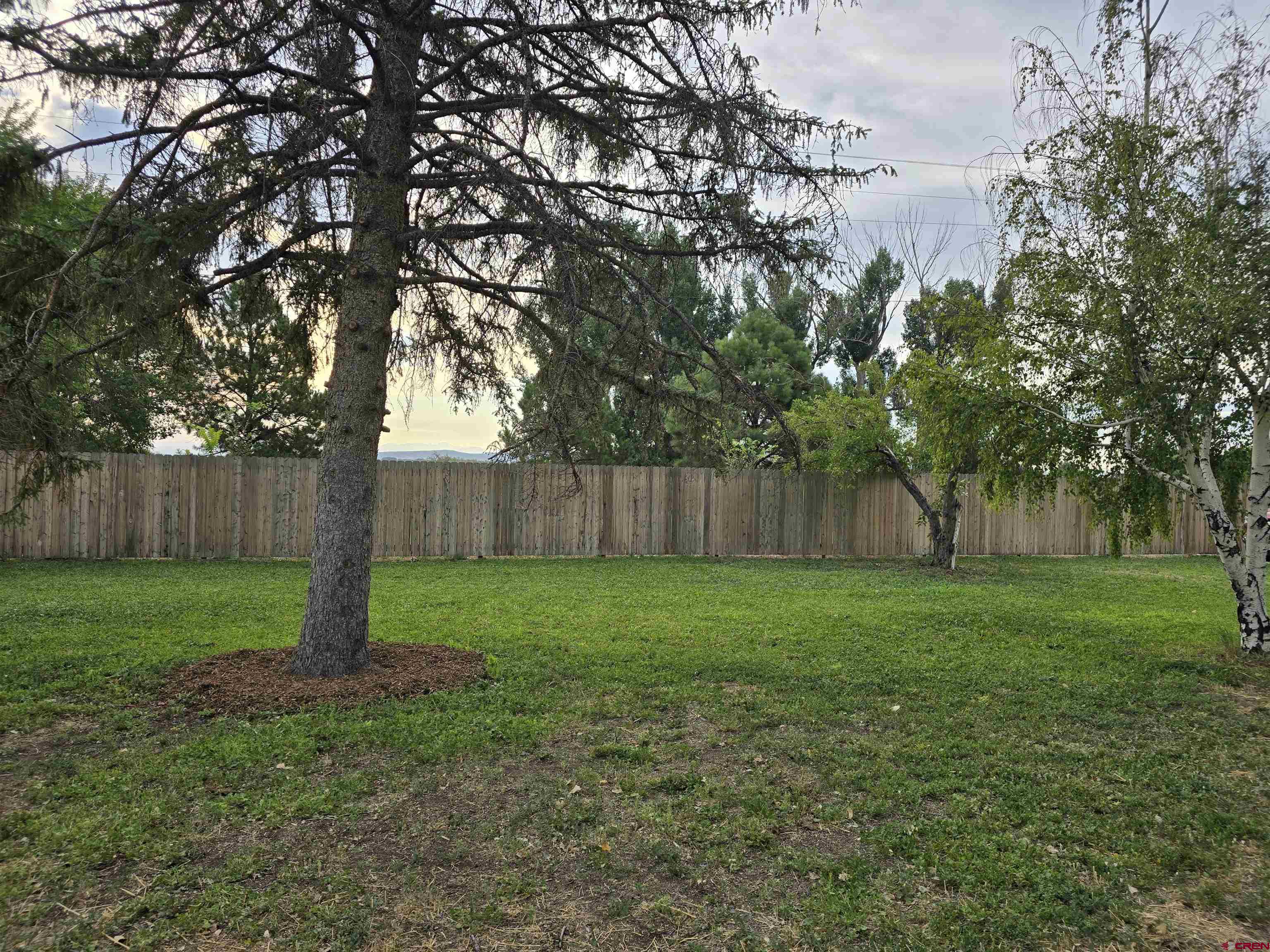 5087 Highway 348 Delta, CO 81416 - Photo 4 of 44