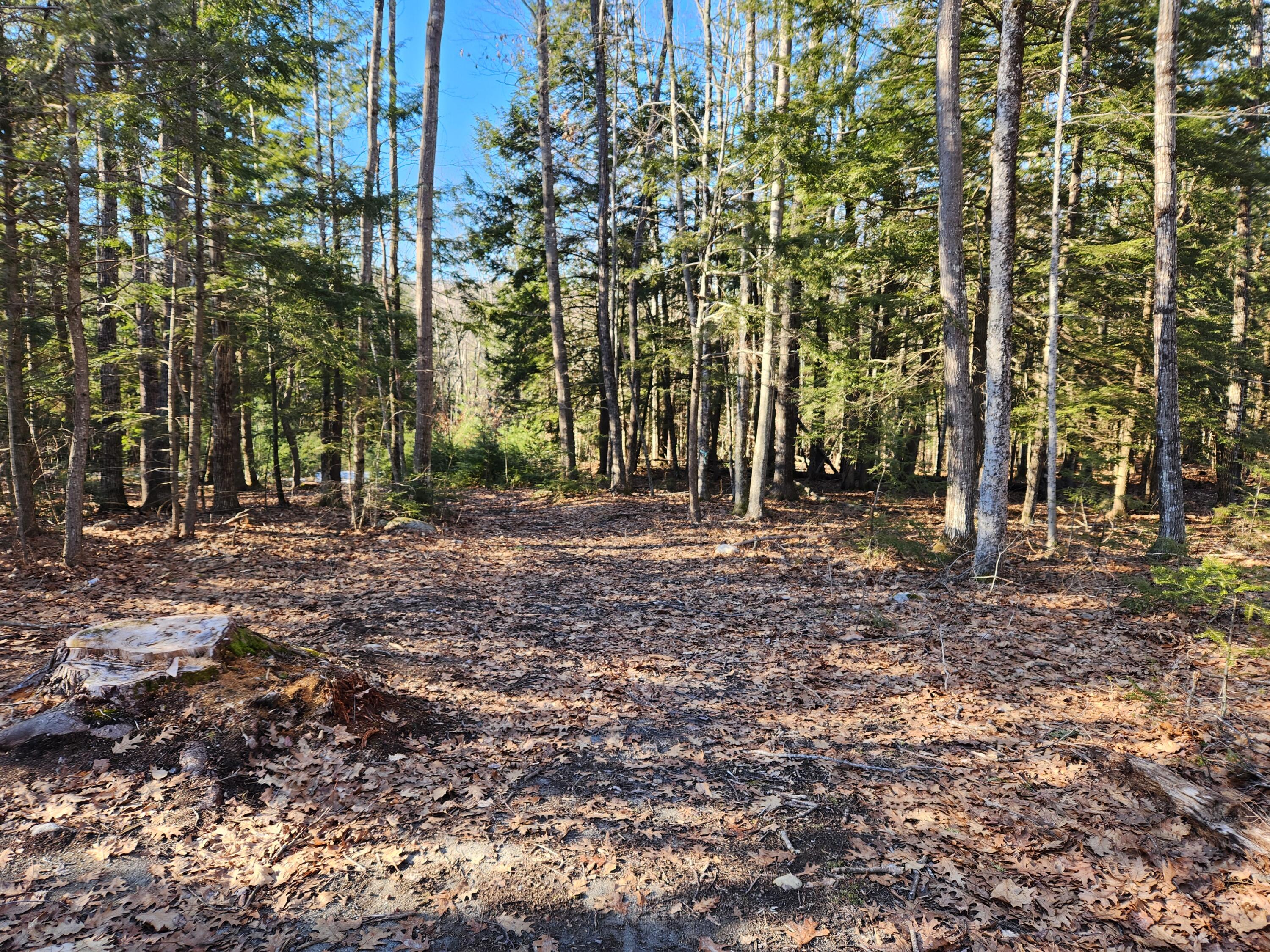 55 A A To Z Road Greene, ME 04236 - Photo 42 of 54 20240308_152142