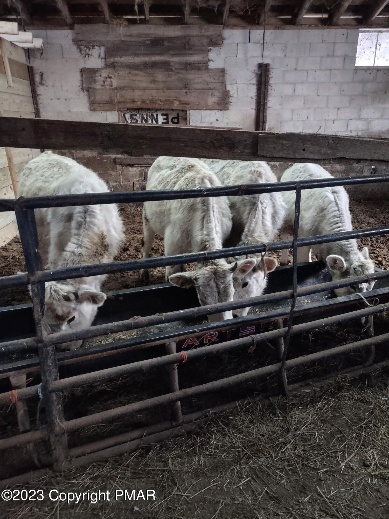 a close view of stove