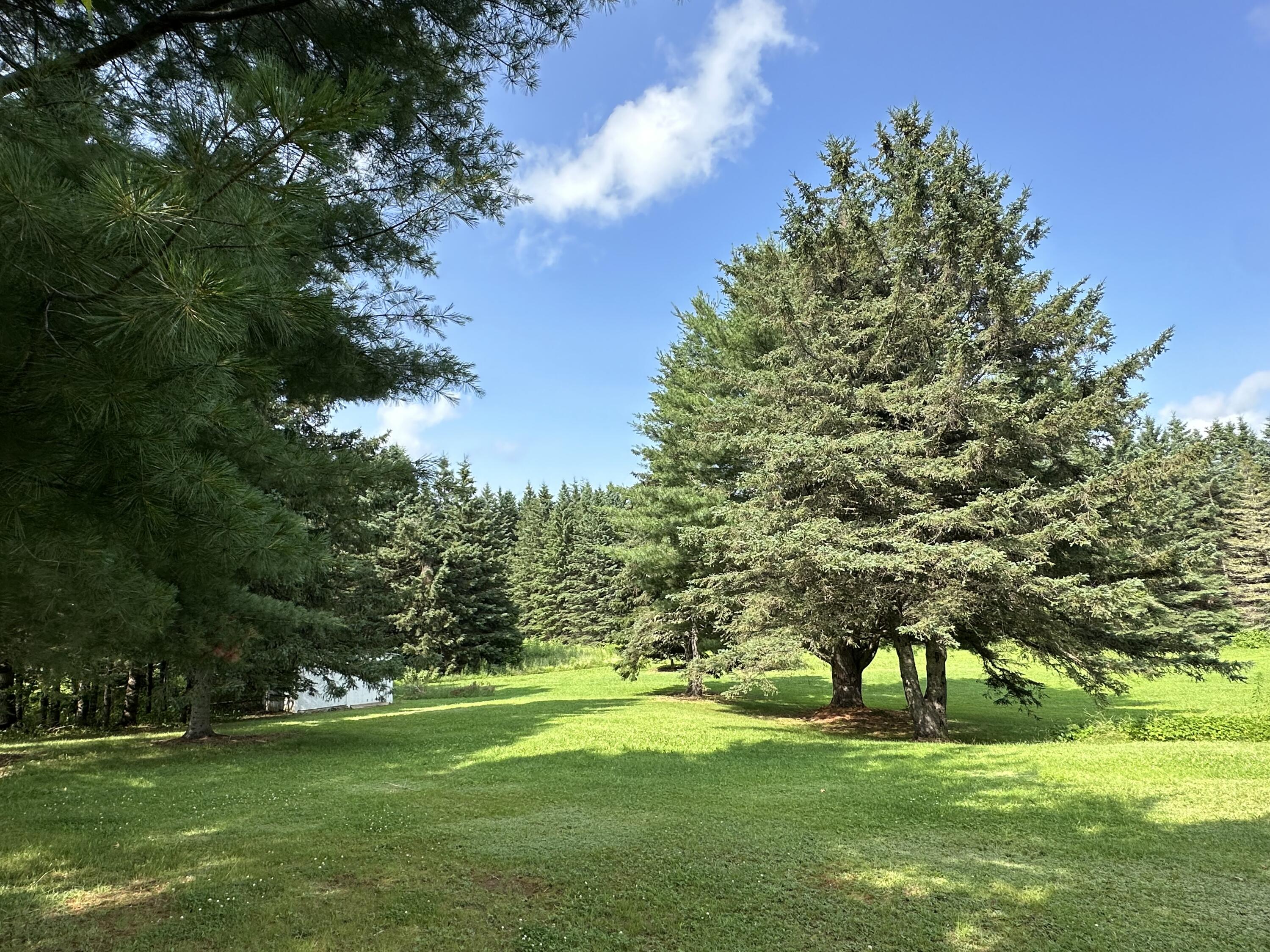 1081 B Road Houlton, ME 04730 - Photo 21 of 30 IMG_2304