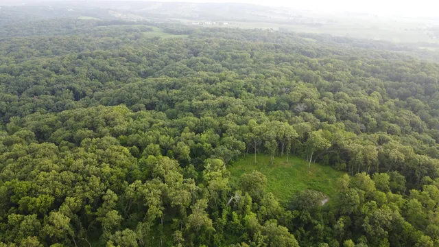 an aerial view of residential houses with outdoor space and trees