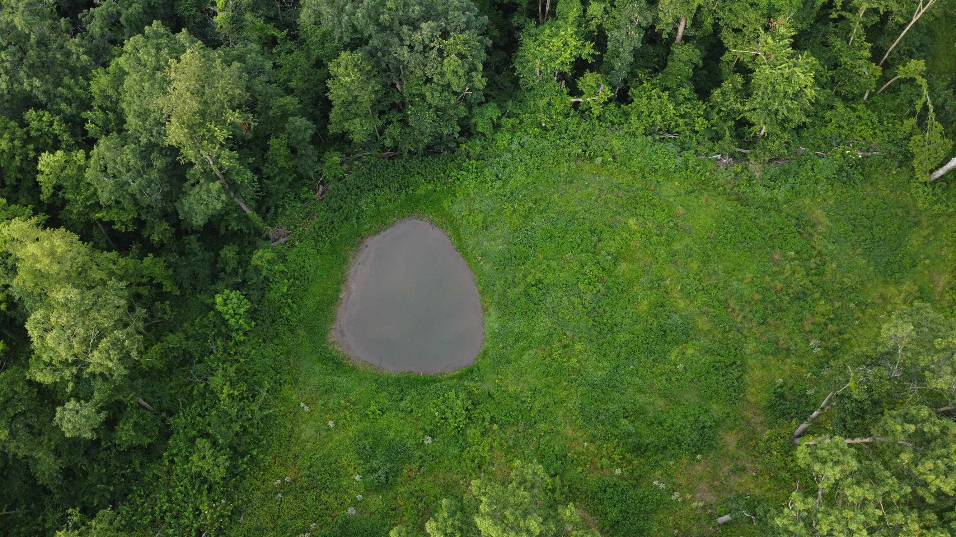 78-acres Tbd West Blanding Road Hanover, IL 61041 - Photo 13 of 39 a view of a backyard with a fountain plants and large tree