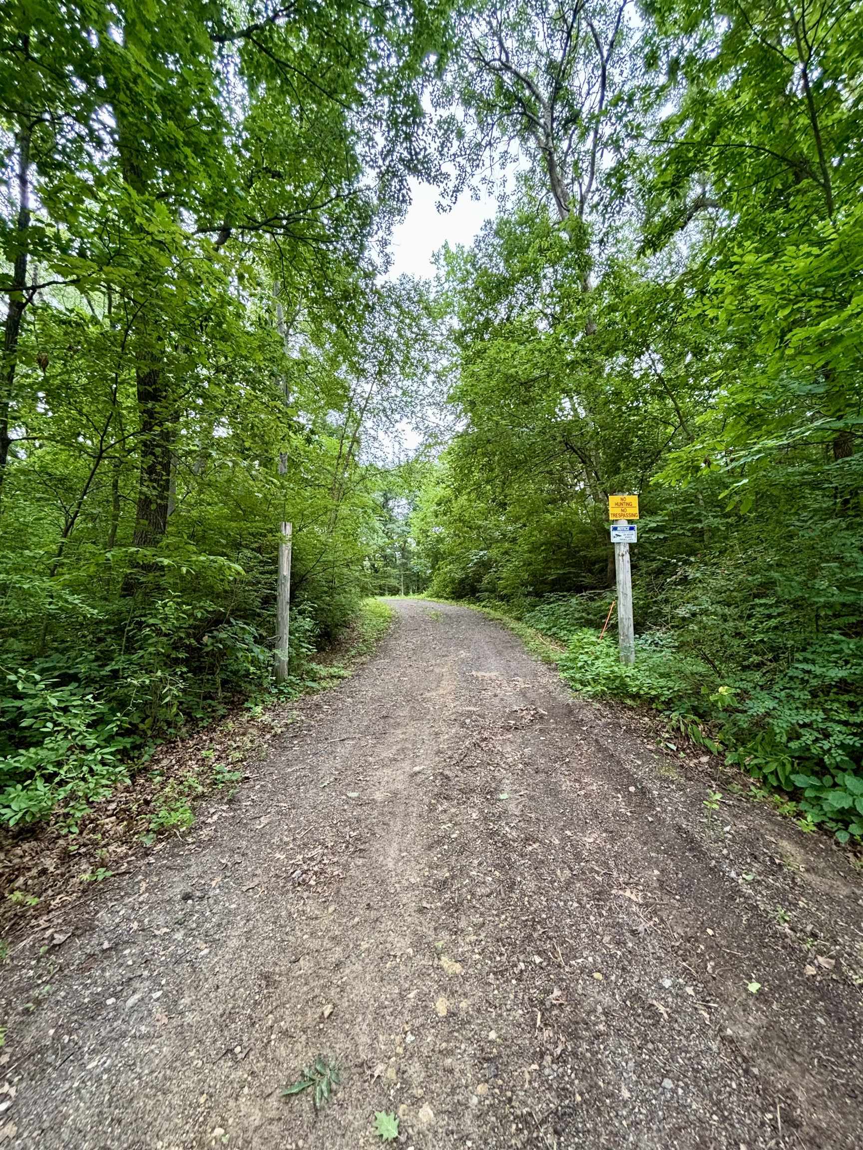 78-acres Tbd West Blanding Road Hanover, IL 61041 - Photo 17 of 39 a backyard of a house with lots of green space