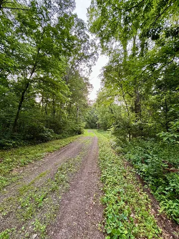 a close view of stove