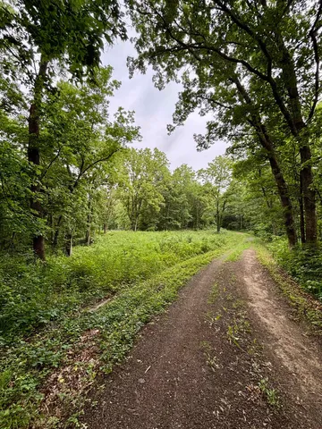 a view of wooden floor in lobby of a house