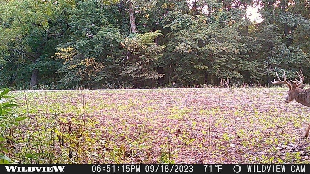 78-acres Tbd West Blanding Road Hanover, IL 61041 - Photo 22 of 39
