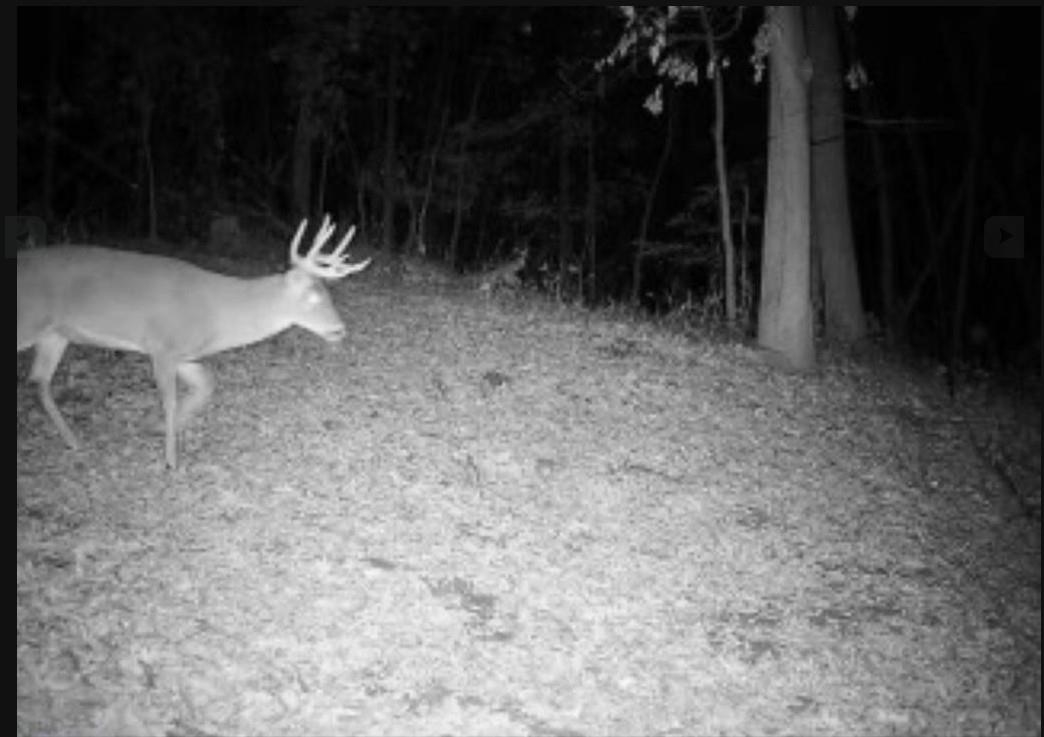 78-acres Tbd West Blanding Road Hanover, IL 61041 - Photo 23 of 39 a view of outdoor space and yard