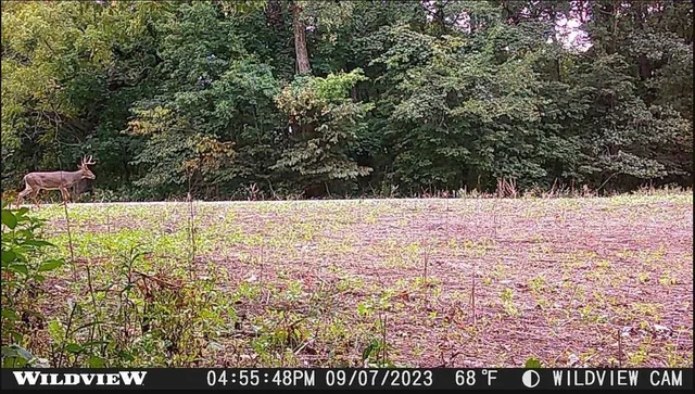 a view of an outdoor space