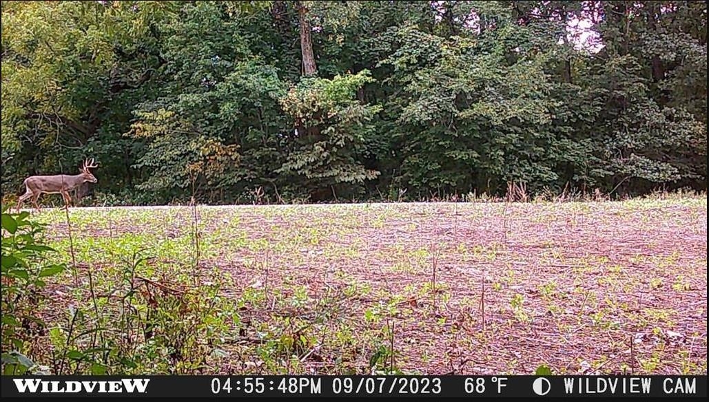 78-acres Tbd West Blanding Road Hanover, IL 61041 - Photo 24 of 39 a view of yard