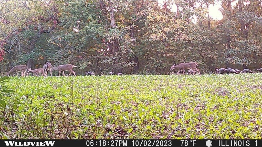 78-acres Tbd West Blanding Road Hanover, IL 61041 - Photo 27 of 39 a view of an outdoor space