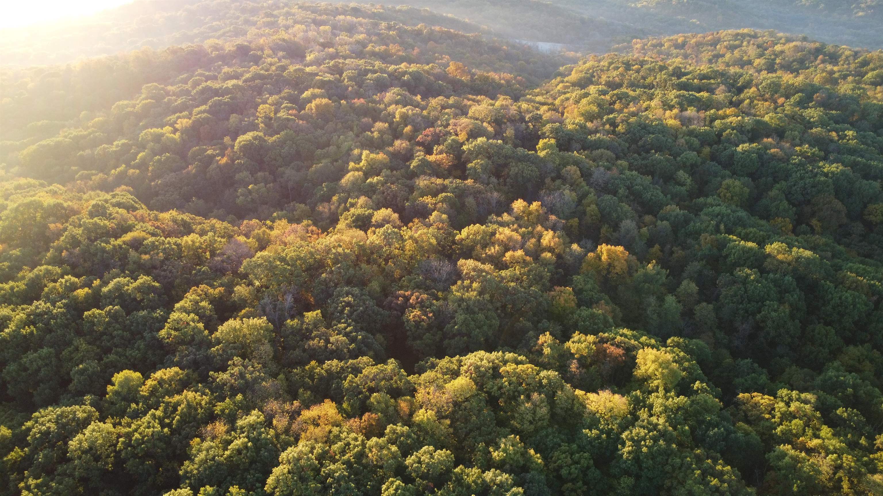 78-acres Tbd West Blanding Road Hanover, IL 61041 - Photo 3 of 39 a view of lot of trees
