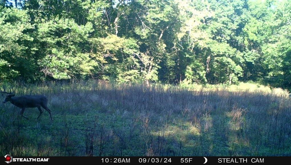 78-acres Tbd West Blanding Road Hanover, IL 61041 - Photo 31 of 39