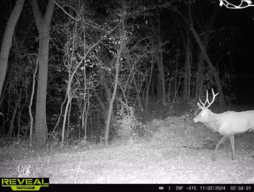 78-acres Tbd West Blanding Road Hanover, IL 61041 - Photo 32 of 39 a view of a backyard
