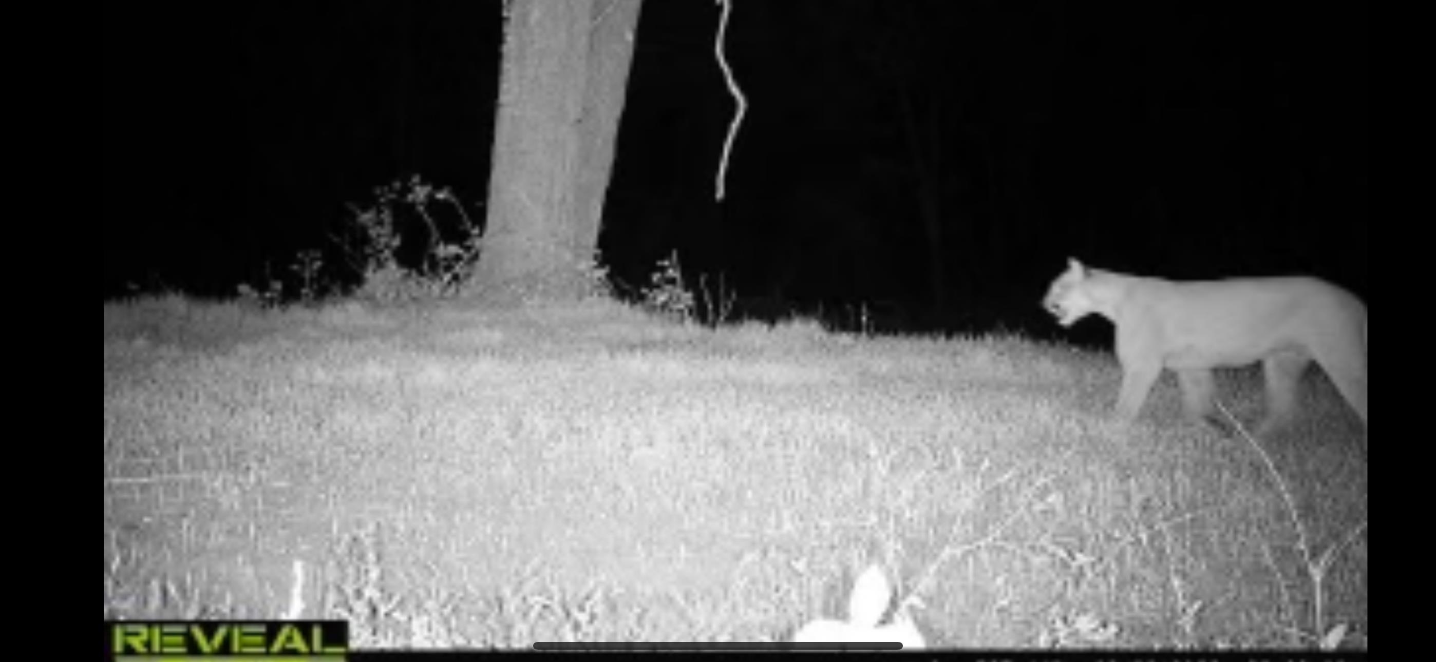 78-acres Tbd West Blanding Road Hanover, IL 61041 - Photo 33 of 39 a backyard of a house