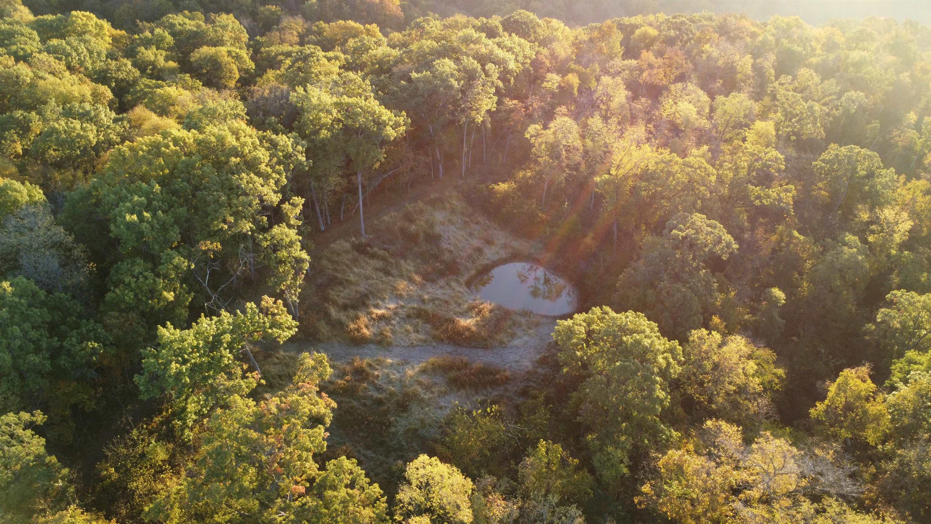 78-acres Tbd West Blanding Road Hanover, IL 61041 - Photo 4 of 39 a close up of a tree