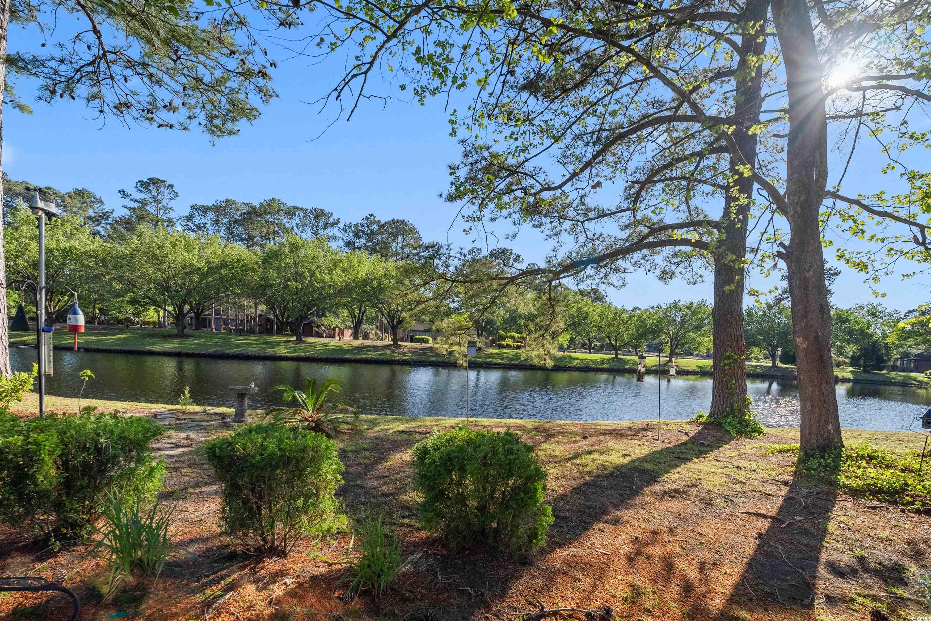 111 Cedar Ridge Lane Conway, SC 29526 - Photo 10 of 38 Gallery Image 10