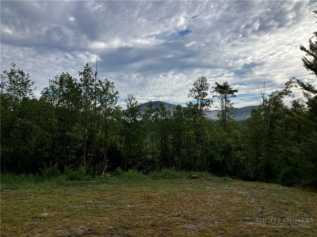 4229 Grandin Road Lenoir, NC 28645 - Photo 43 of 46 Gallery Image 43
