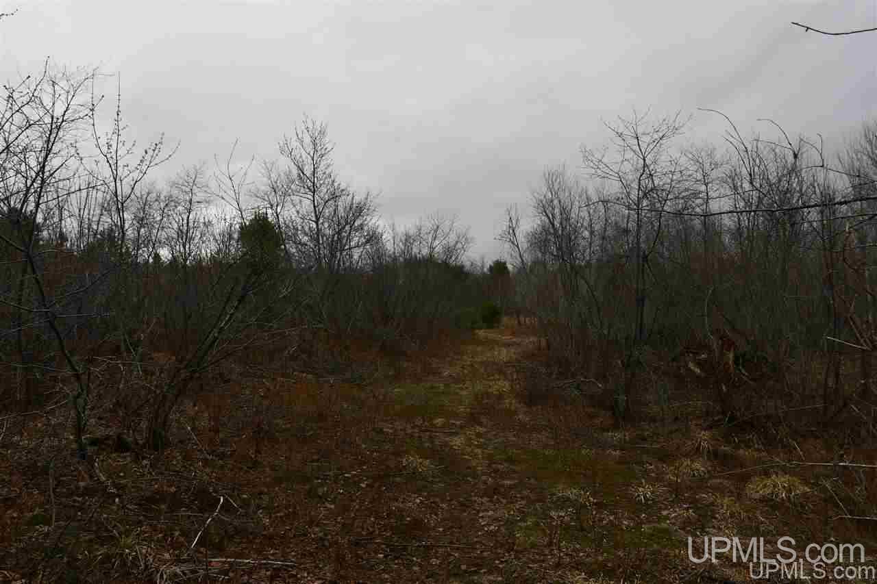 6334 North Co Road Manistique, MI 49854 - Photo 21 of 49