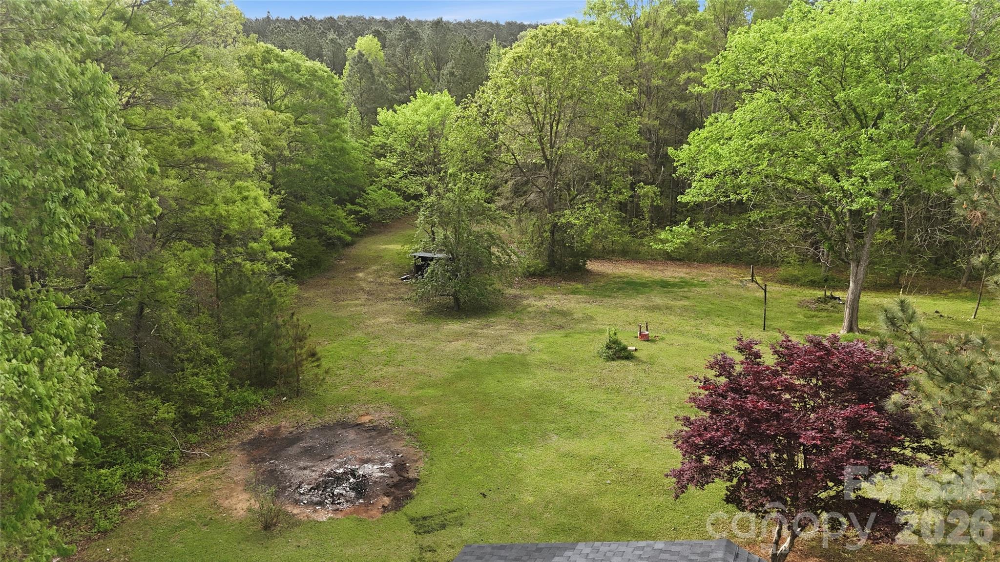 3285 Douglas Way Lane Lancaster, SC 29720 - Photo 42 of 44 a view of a garden with plants and large trees